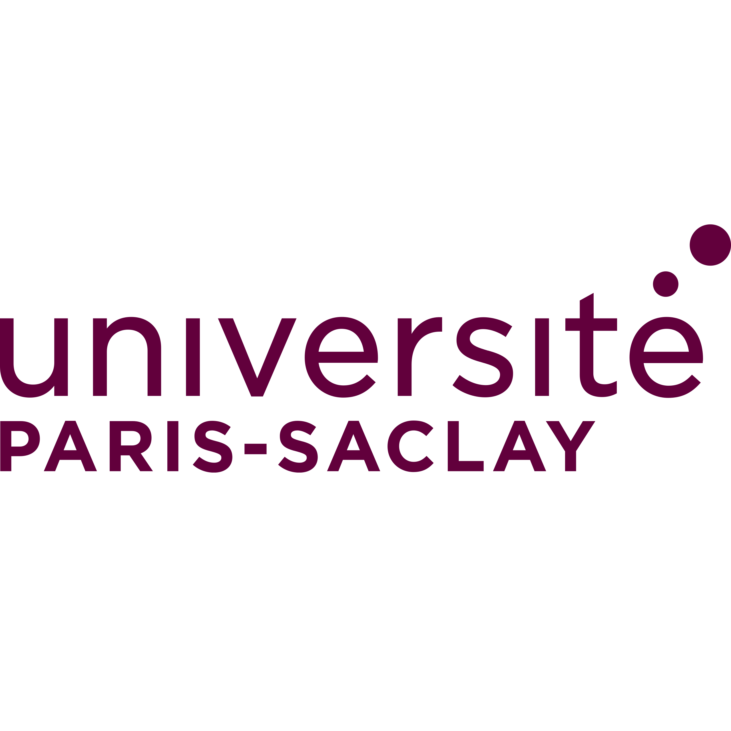 University Paris Saclay
